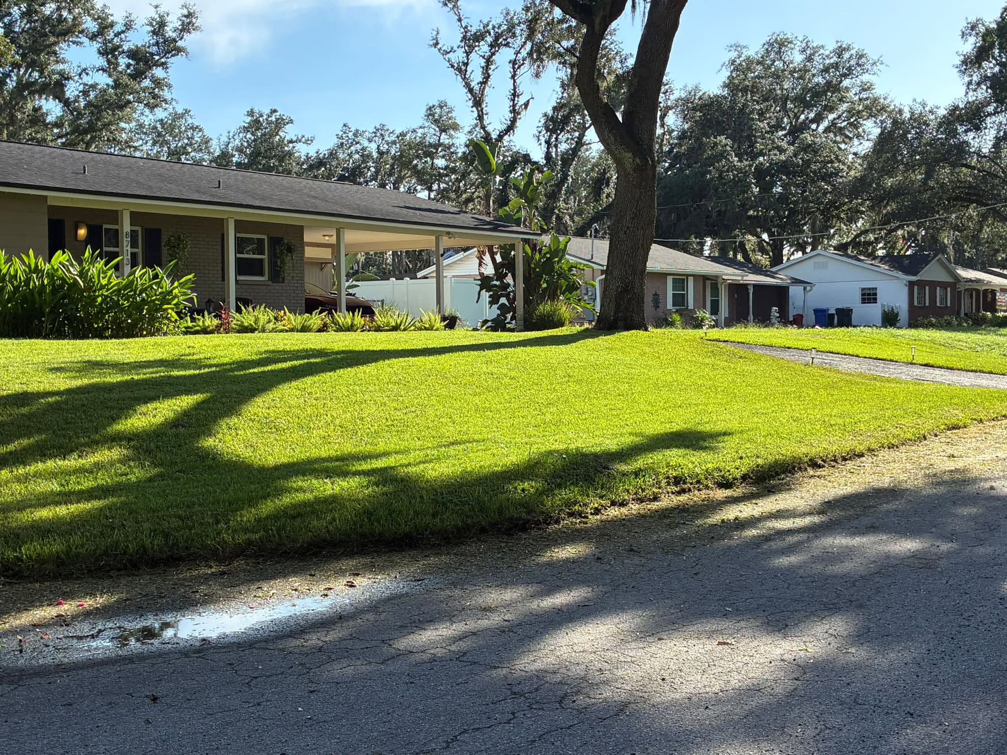 Freshly kept suburban lawn from a Mom Says Mow job
